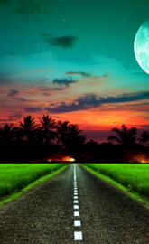 Moonlit Road