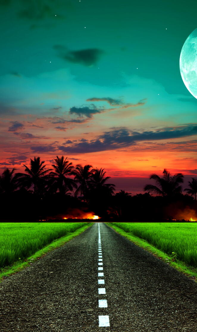 Moonlit Road