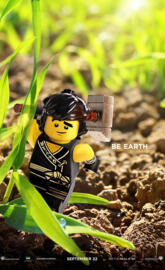 Ninjago Cole
