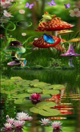 Lily Paradise
