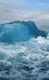 Antarctica