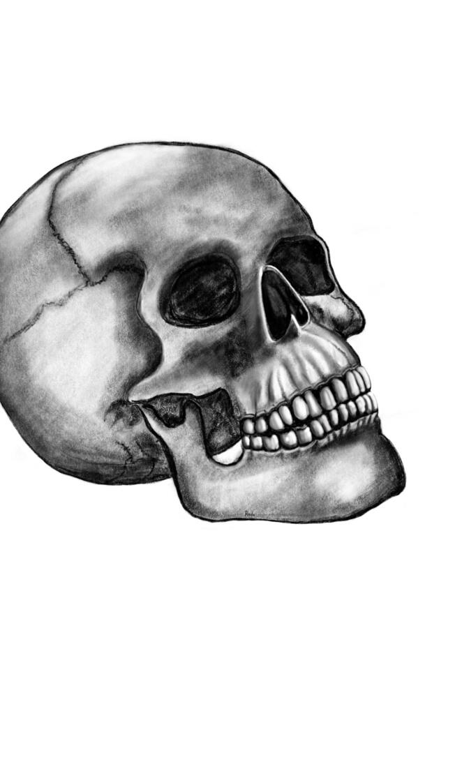 Skull