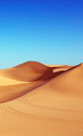Algodones Dunes