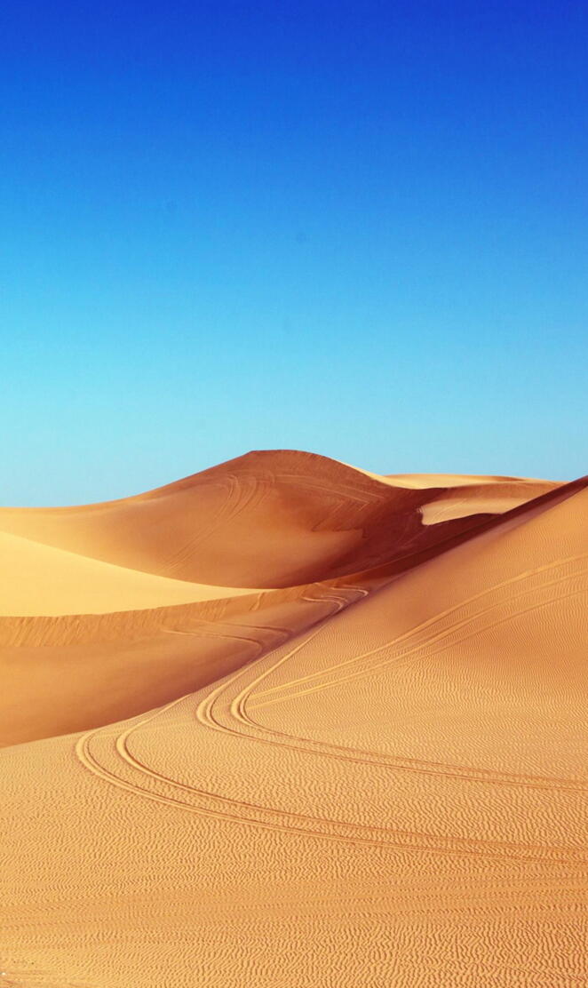 Algodones Dunes