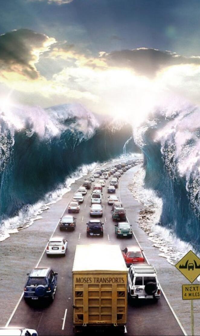 Incredible Picture