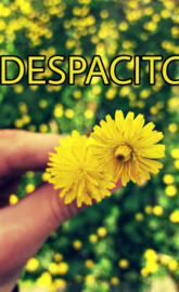 Despacito