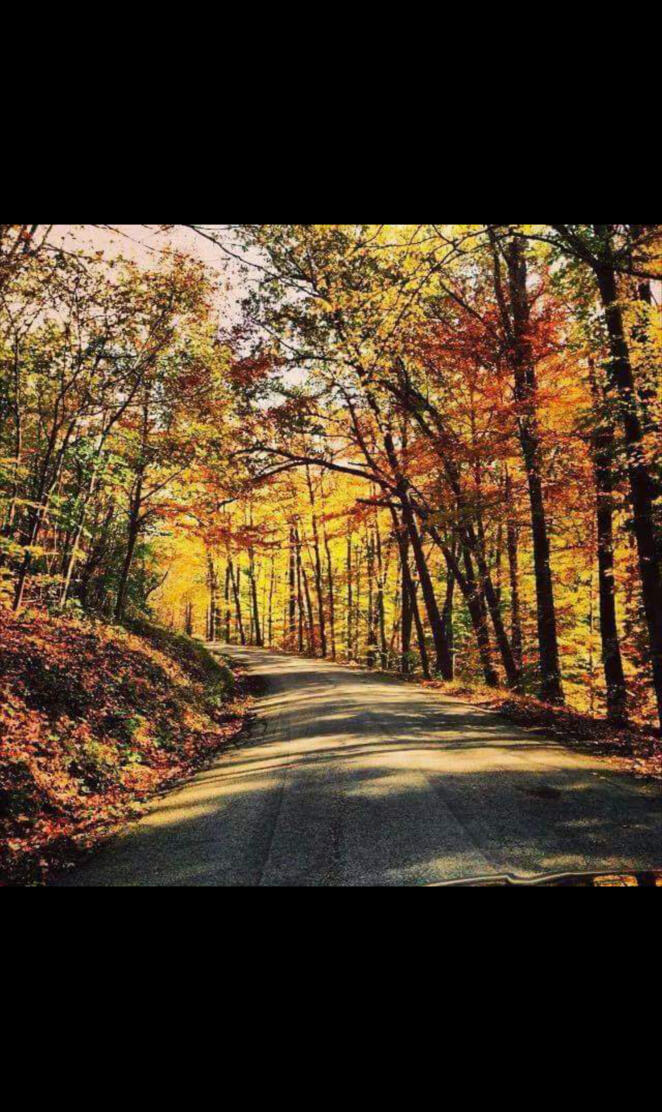Autumn Dirt Road