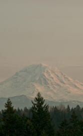 Mt Rainier Sunset