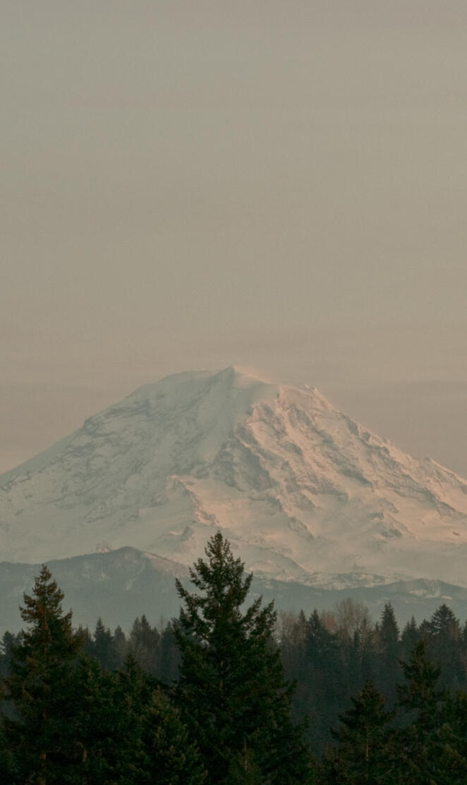 Mt Rainier Sunset