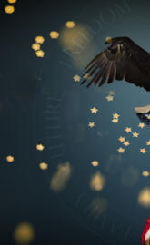 America in 1 Picture