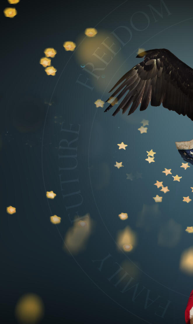 America in 1 Picture