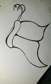 Butterflies on Pages