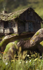 digital artanimalsph