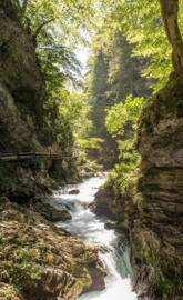 Vintgar gorge Slovenia