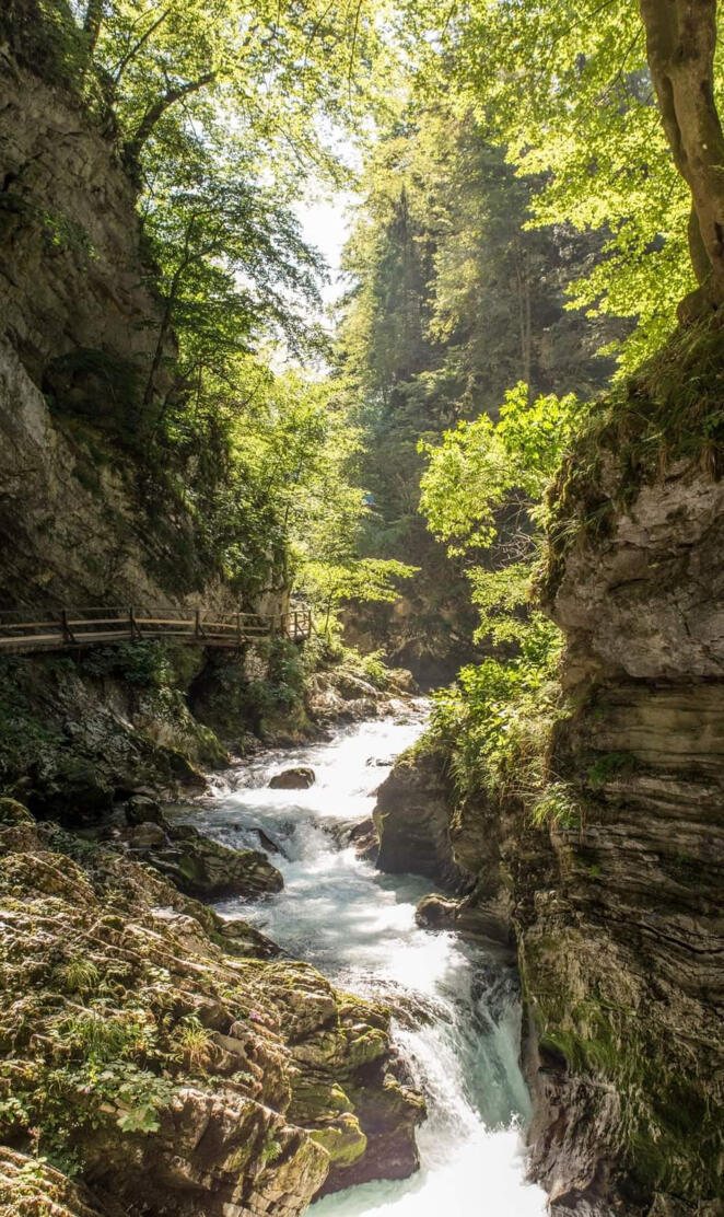 Vintgar gorge Slovenia