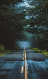 The Pacific northwest