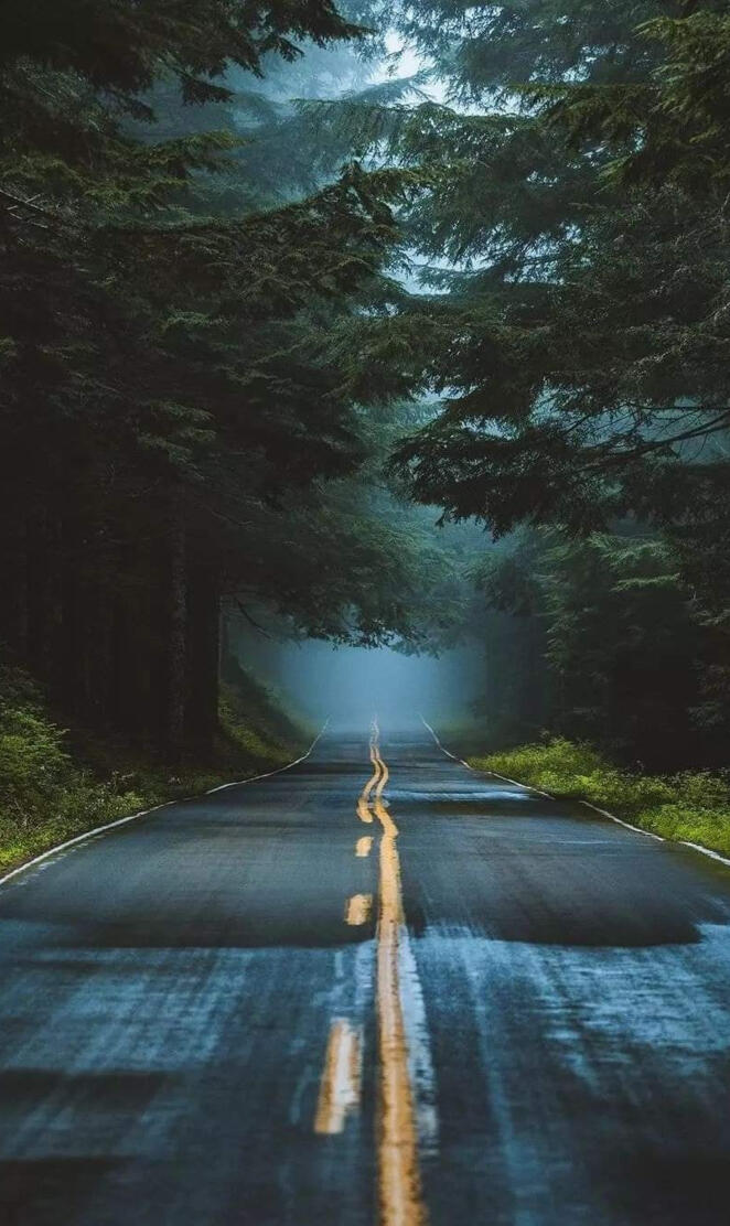 The Pacific northwest