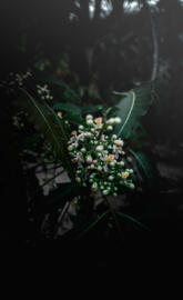 Landscape photography