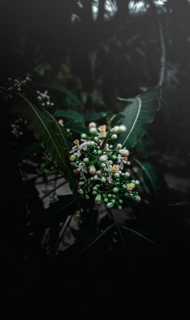 Landscape photography