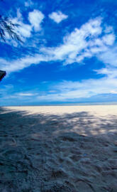Pantai