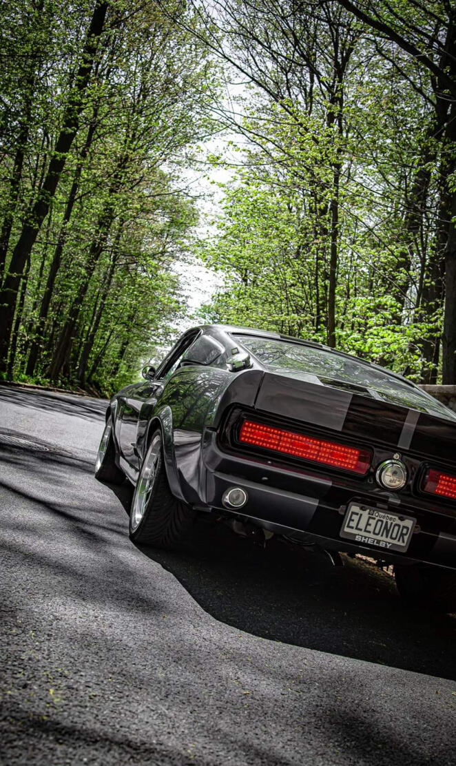 Shelby Gt500