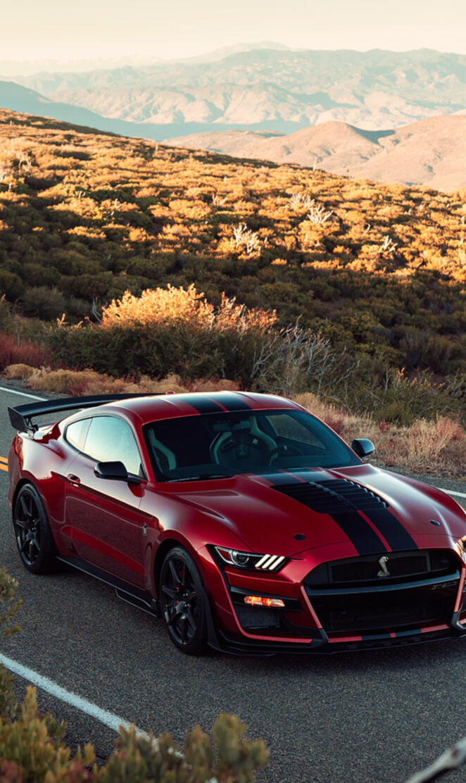 2020 Shelby GT500