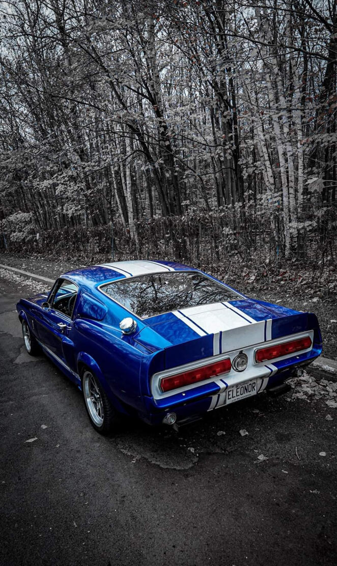 Shelby gt500 1967