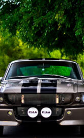 shelby gt 500
