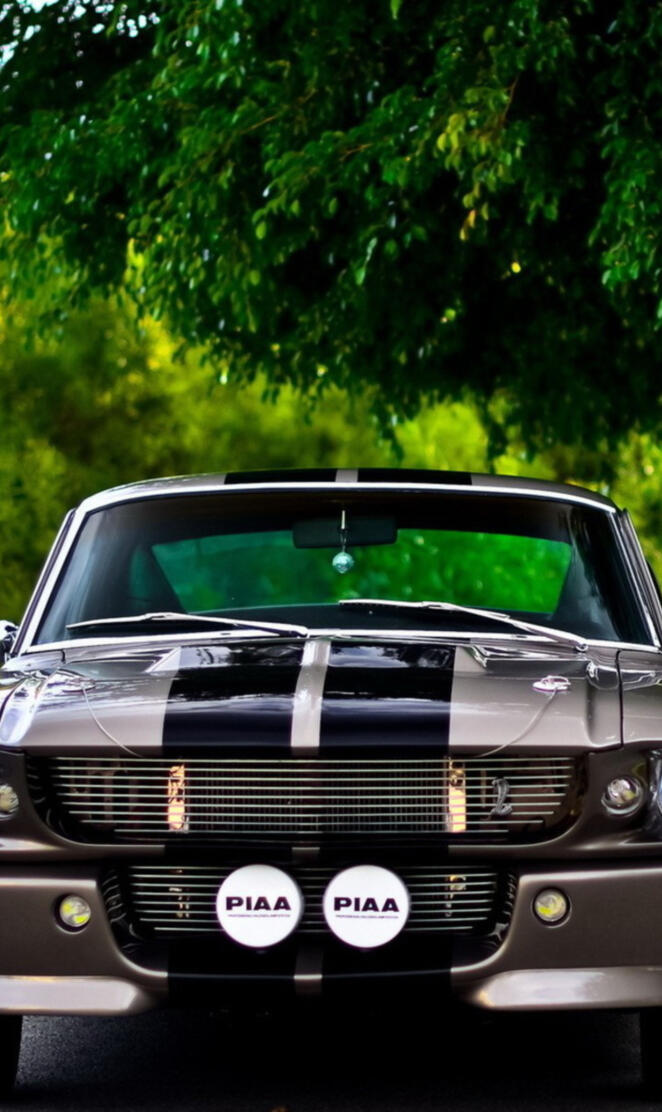 shelby gt 500