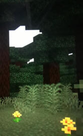 Minecraft Woods