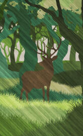 Woodland deer