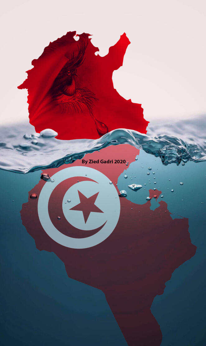 Tunisia is Sinking