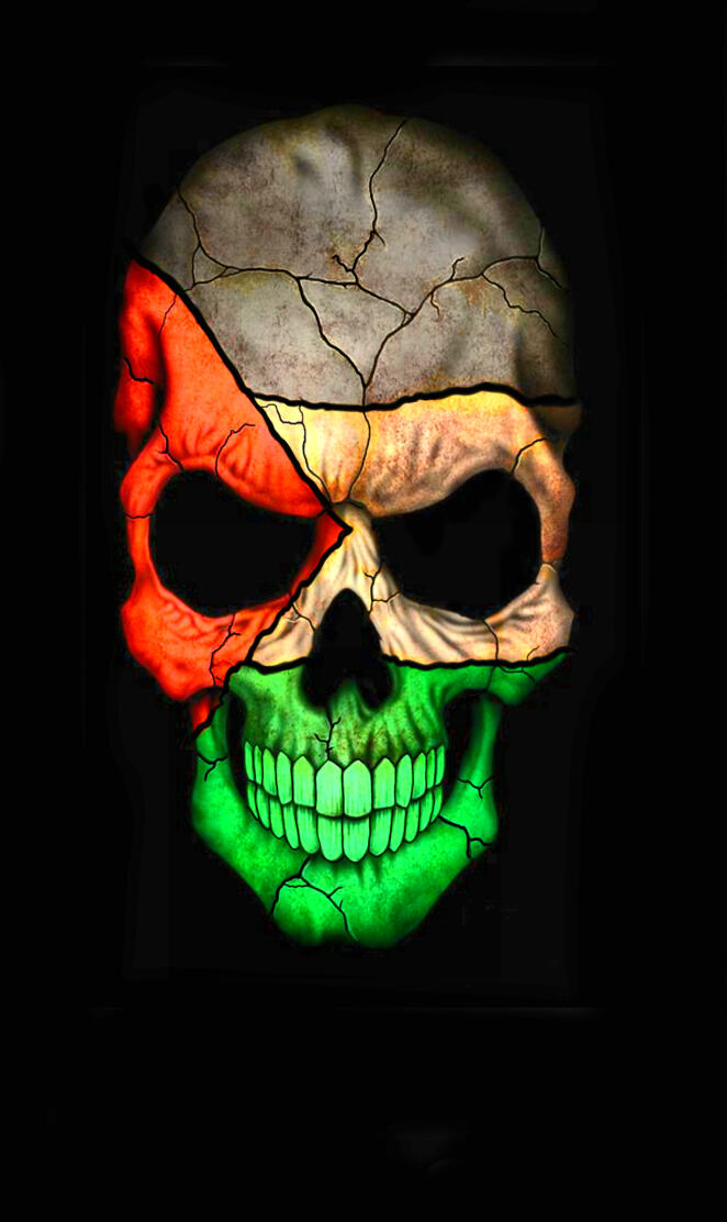 Palestinian Skull