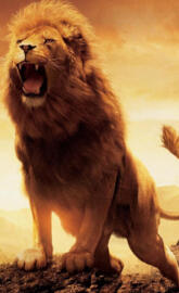 Aslan