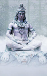 Shiv