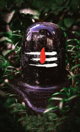Shivling