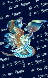 Shivay