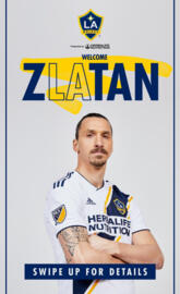 Zlatan ibrahimovic l