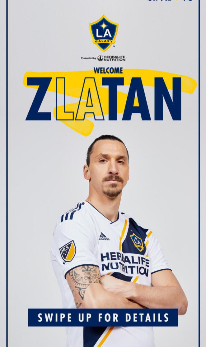 Zlatan ibrahimovic l