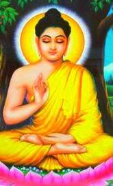 buddha