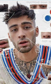 ZAYN