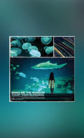 Count Your Blessings