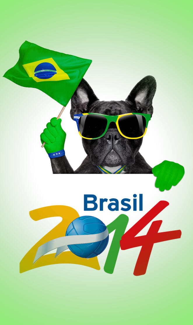 Brasil 2014