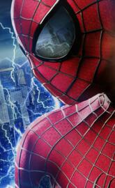 SPIDER MAN 2014