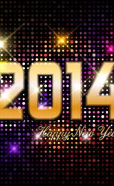 New Year 2014
