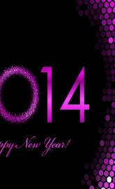 Happy new year 2014