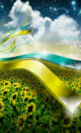 Windows Hd Sunflower