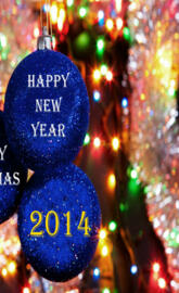 Happy New Year 2014