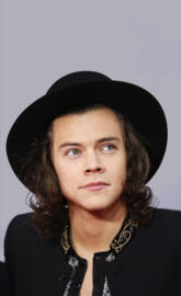 Harry Styles TwT