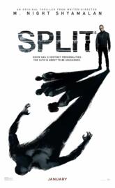Split 2016